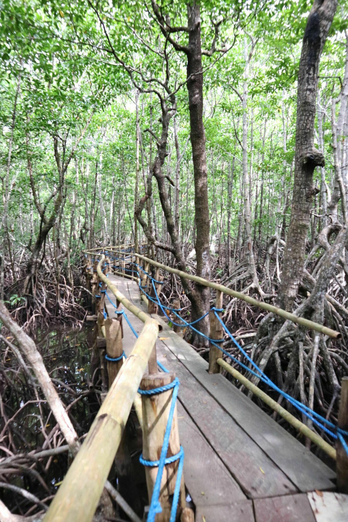 Villa Israel Ecopark El Nido Exterior photo