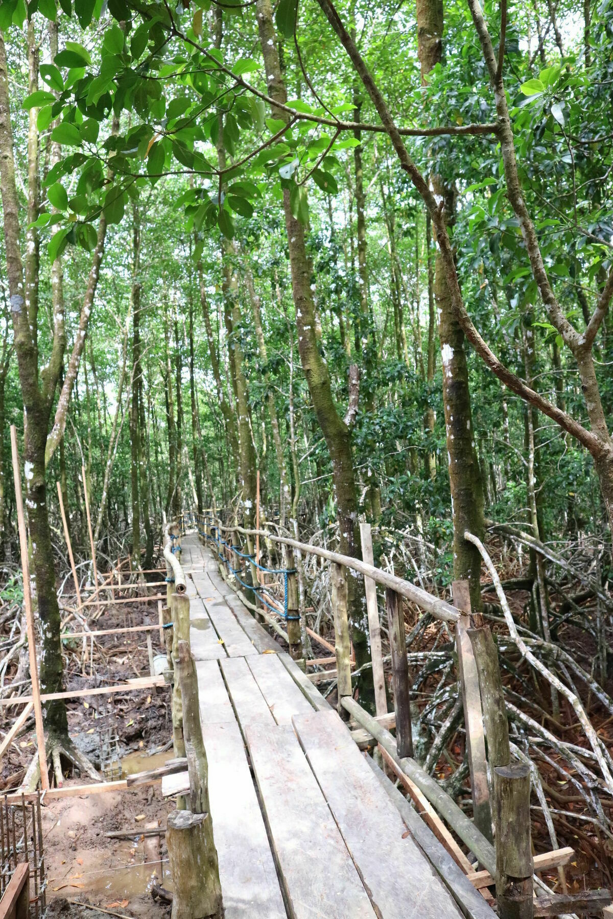 Villa Israel Ecopark El Nido Exterior photo