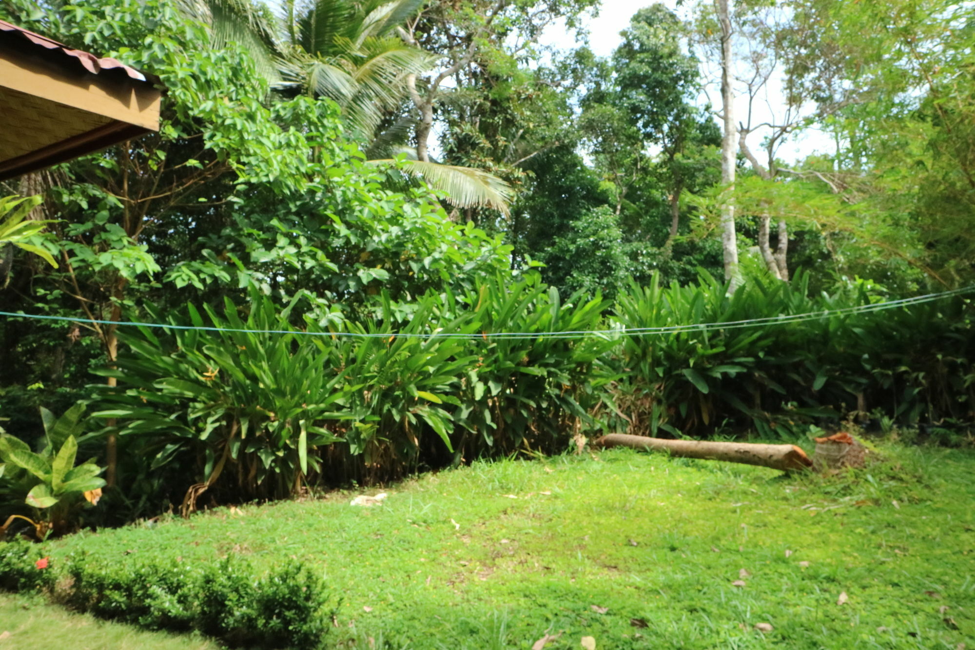 Villa Israel Ecopark El Nido Exterior photo